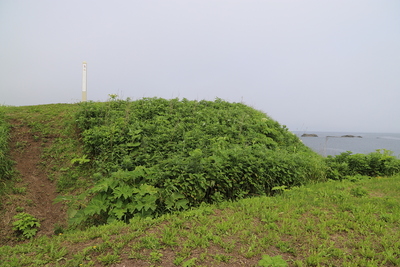 濠を挟んでの平坦面