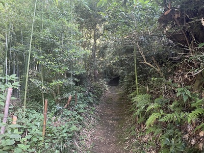 主郭跡前の切り通し