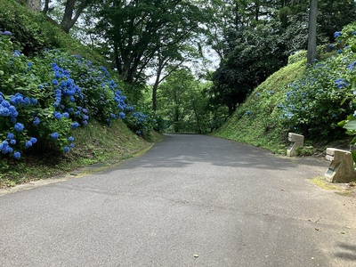 二の丸と本丸間の堀切