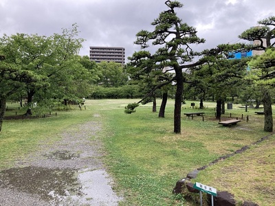 桜の馬場