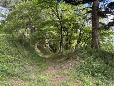 空堀跡（本丸北側）