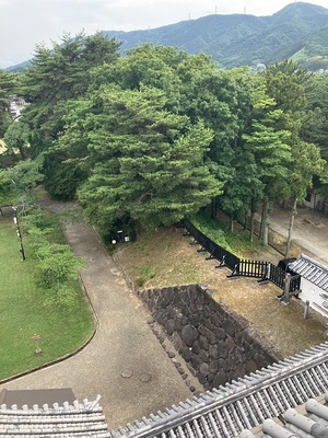 天守から見た本丸西土塁(石垣)