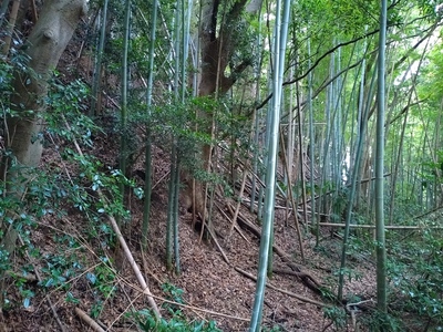 南側の切岸