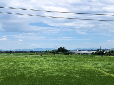 漁港方面からの天守台