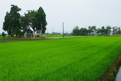 主郭跡遠景