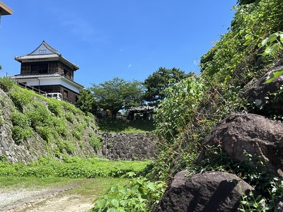 海側から