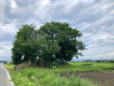 木造城遠景