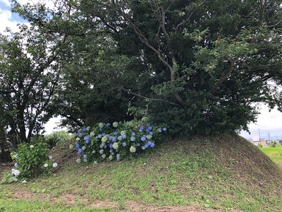 木造城土塁