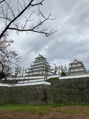 堀の外からみた天守閣