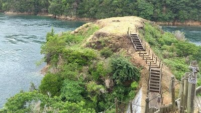 郭Ⅱ（二之丸）東区から郭Ⅴ（矢櫃）を望む