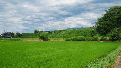 切岸跡