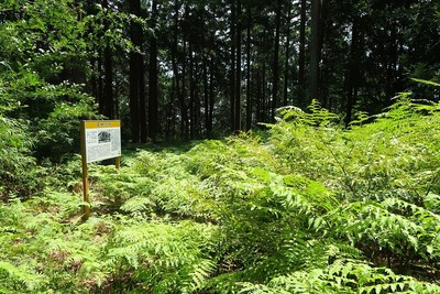 雲林院城 主郭