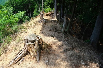 雲林院城 Ⅲ郭土塁