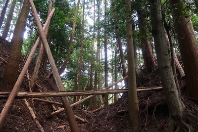 雲林院城 Ⅲ郭東の堀切