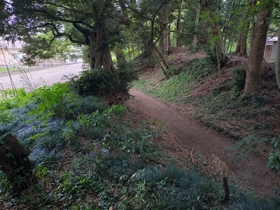 西側の堀切と土塁