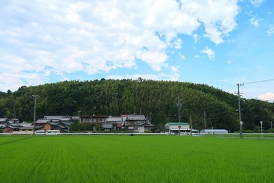 安濃城 遠景（南より）