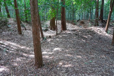 安濃城 主郭土塁