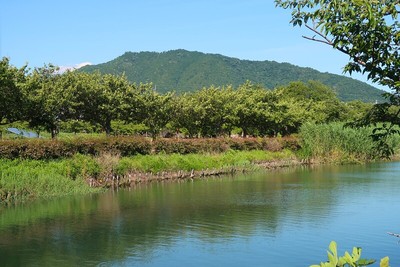 木村城 水路越しの繖山（観音寺城）