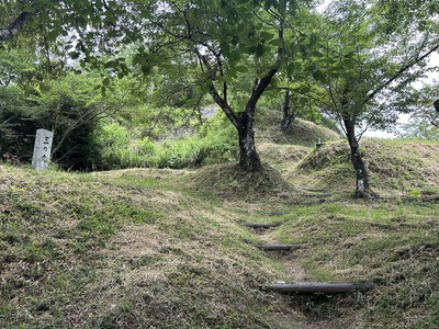 複雑な登城路と虎口