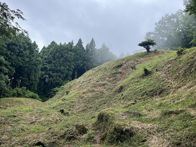 雀門前から見た虎口郭石垣跡