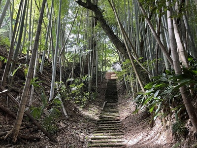 安立寺参道