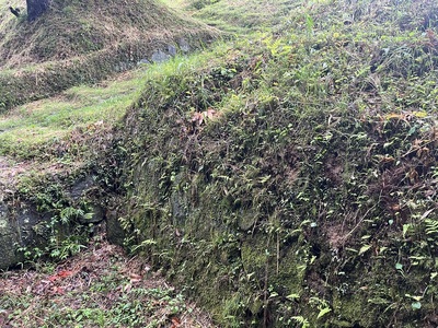 雀門脇の石垣跡