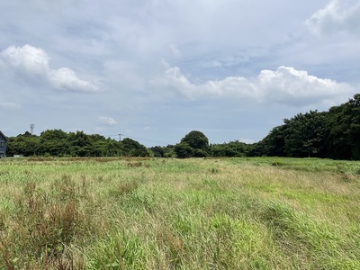 土塁側からの陣屋跡