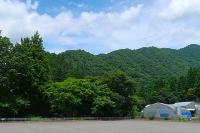 広瀬城 遠景（道の駅より）