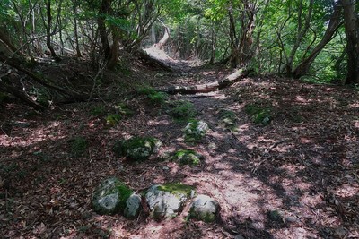 広瀬城 登城道の石段