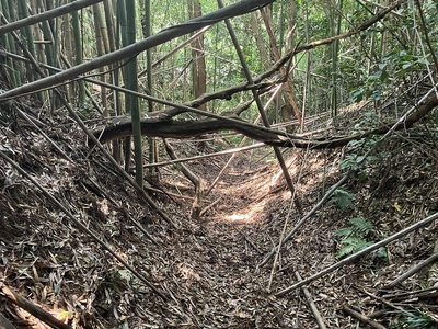 南西からの登城路(堅堀？)