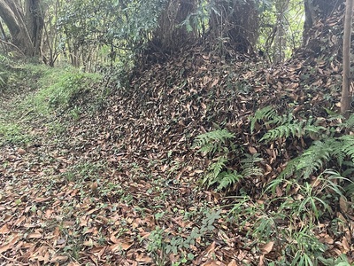 主郭西側の土塁とその手前の溝(堀？)