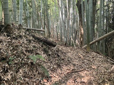 4郭の虎口(下から撮影)