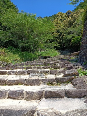 大手道が曲がるところの手前