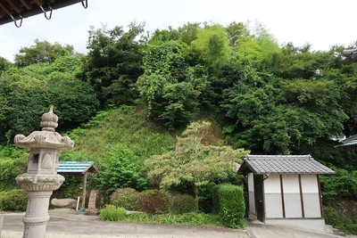 古瀬間城 浄願寺境内より見上げる城址