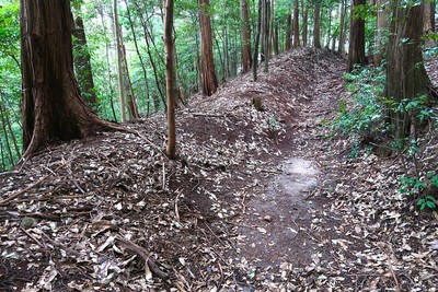 奥殿陣屋 土塁