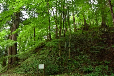 高山城　中段屋形