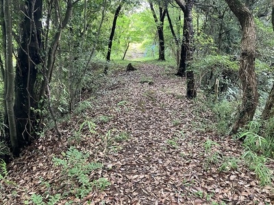 4郭(尾根廓)の一番細い部分