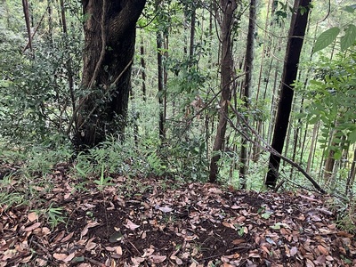 本納城跡4郭の切岸(上から撮影)