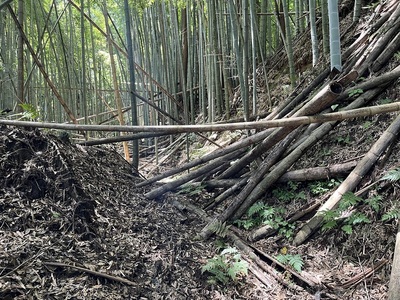 妙見神社裏の堀切