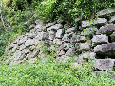 城内に残る最大の石垣