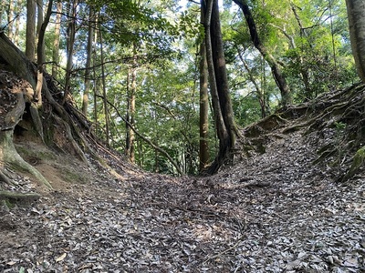 釜屋の壇と羽子の丸間の堀切