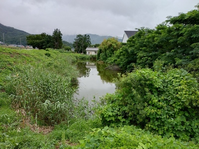 本丸北側の水堀