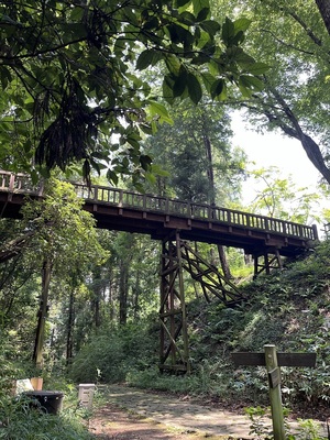 本丸への木橋