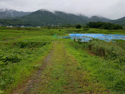 二の丸と中城を隔てる堀と土橋