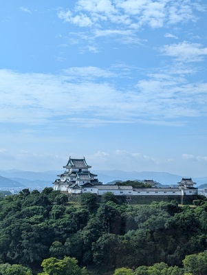 市役所14階から