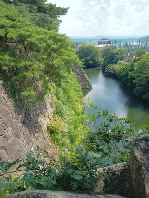 西面高石垣を上部から