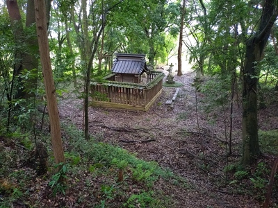 裏の土塁から見た鹿島神社