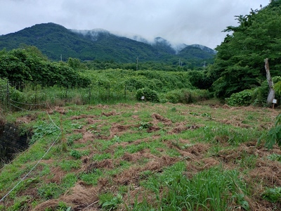 外曲輪東虎口