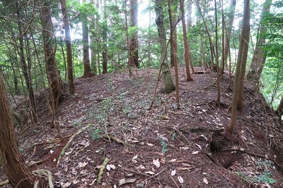 百地丹波城 郭C土塁