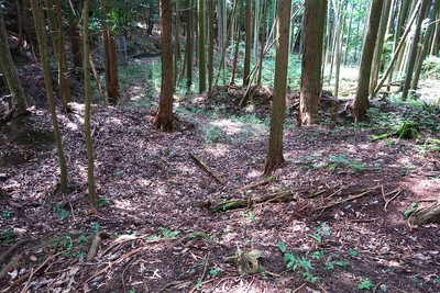 百地丹波城 城域東端の郭A 内枡形虎口